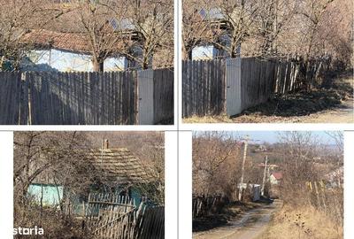 Casă cu 2 camere în Patricheni