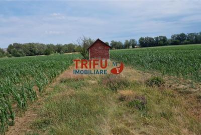 Teren intravilan de vanzare in Vint - 2