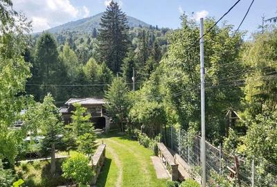 Vanzare Casa Pensiune mare superba la munte Cheia Prahova langa padure totul impecabil 1905 mp teren - 15