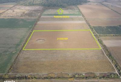 Spațiu comercial, în Moșnița Nouă - 3