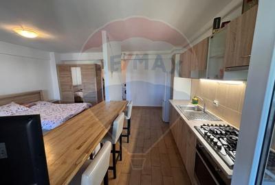 Apartament cu 1 camere de inchiriat in zona Cornitoiu - 5