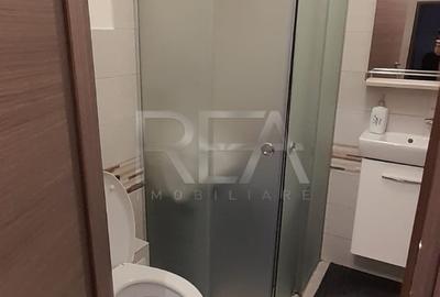 Apartament cu 4 camere semidecomandat, mobilat în Moșilor - 7