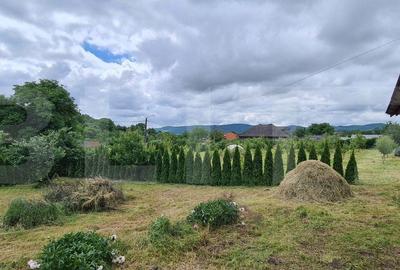 Casă cu 3 camere în Jichișu de Jos - 18