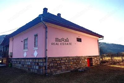 Proprietate in Apuseni - fosta pizzerie, ideala pentru afacere sau locuinta - 3