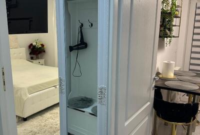 Proprietar,apartament 1 camera,Lunca Cetatuii - 5