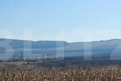 Oportunitate: 50 Ha de Teren Ideal pentru Agricultura sau P - 2