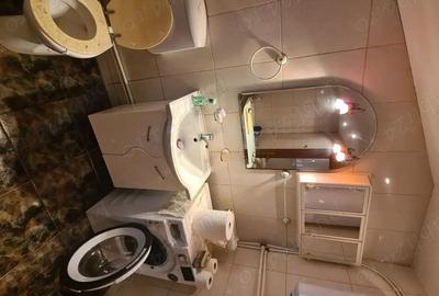 Casă cu 4 camere cu Teren 1730 Mp în Bucești - 6