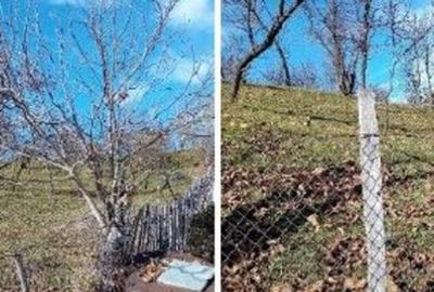 Teren cota parte 1/2, Sat Vistieru, ID: R2809860 - 2