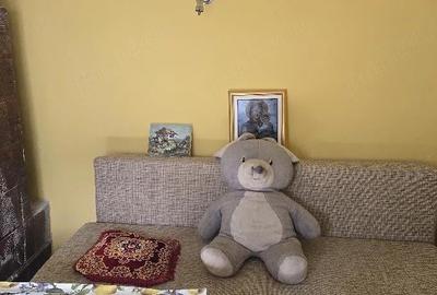 Casă cu 3 camere cu Teren 150 Mp în Central - 6