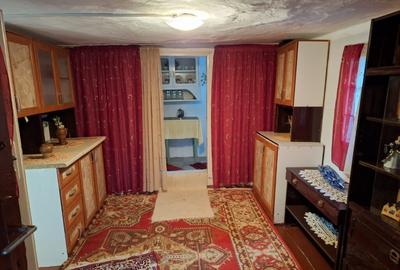 Teren 4137mp si Casa - Targu Ocna - 7