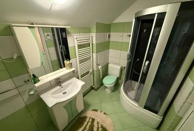 Casa cu garaj si 2 seminee, langa Parcul Mare - Str. Victoriei, Baia Mare - 13