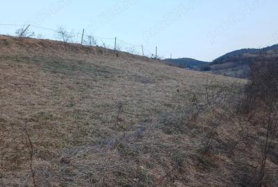Teren de 2030 mp, în Central - 2