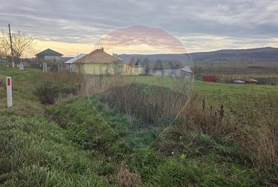 Teren intravilan si extravilan 8,282mp oras Negresti, judetul Vaslui - 8