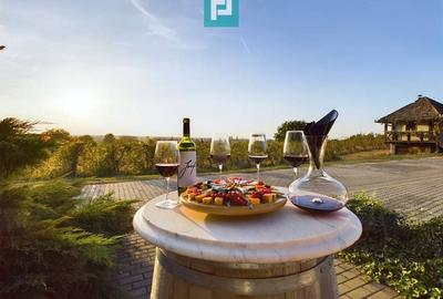 Pivnițele Birăuaș D.O.C Miniș - RATE FĂRĂ DOBÂNDĂ - 1