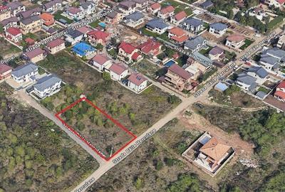 Pantelimon - Complex Lebada, vanzare teren 1.190mp. dubla deschidere - 7