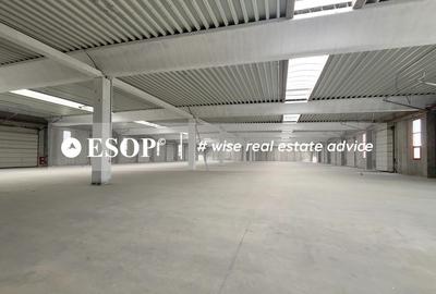 Hale industriale, parc modern, Rudeni, Chitila, Ilfov- ID 15462 Hale industriale, parc modern, Rudeni, Chitila, Ilfov- ID 15462 - 19