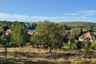 Casă cu 3 camere în Filea de Jos - 1