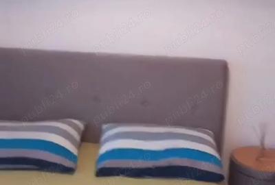 Proprietar, urgent, Dimitrie Leonida! - 3