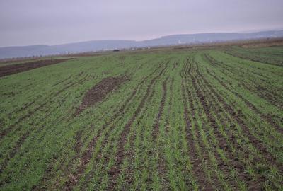 Spațiu comercial, în Gura Râului - 3