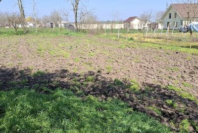 Casă cu Teren 1600 Mp în Ciocârlia - 1