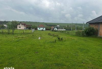 Teren de 1000 mp, în Șura Mică - 5