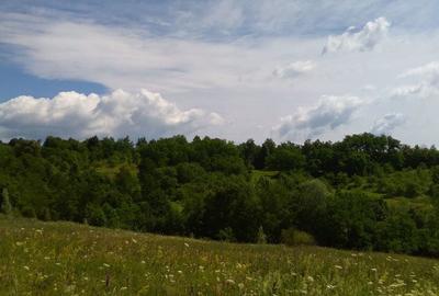 Teren de 3600 mp, în Aluniș - 4