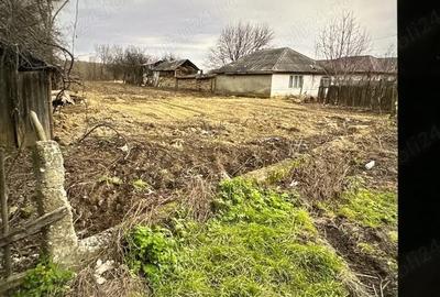 Teren de 2000 mp, în Drăgușani - 3
