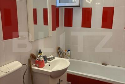 Apartament cu 2 camere semidecomandat în Paltin - 2