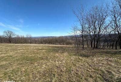 Spațiu comercial, în Central - 4