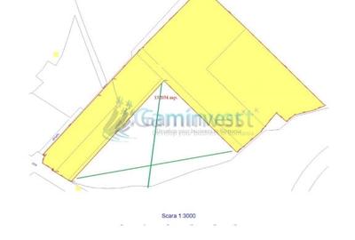 Teren Construcții intravilan de 132034 mp, în Episcopia Bihorului - 2
