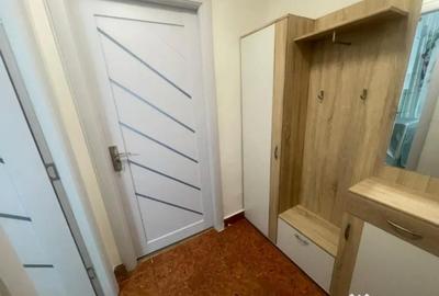 Garsonieră, mobilată în Brazda lui Novac