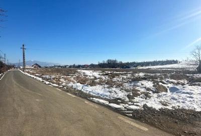 OPORTUNITATE pt Dezvoltatori de case zona Penitenciar ! - 6