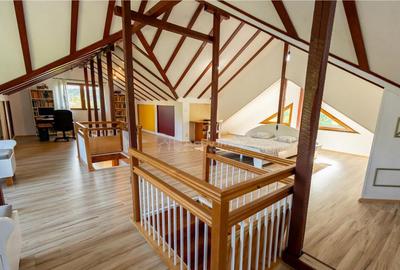 Vila 7 camere - Babana - Arges - teren 4391 mp - fara comisi - 8