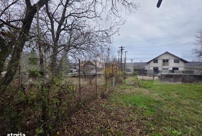 Casă cu 4 camere cu Teren 4332 Mp în Mănești - 1