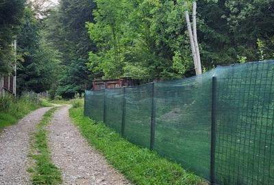 Complex Valea Neagra, statiunea Cheia, Prahova apartament cu 2 camere - 3