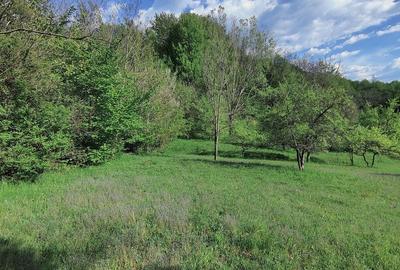 Teren de 2920 mp, în Șuici - 5