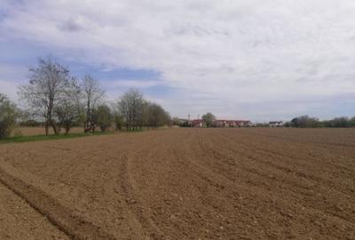 Bolintin Vale jud.Giurgiu teren intravilan construibil comision 0