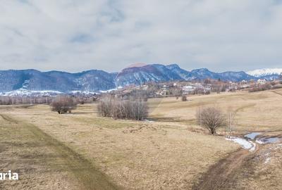 Teren de 4500 mp, în Central - 9