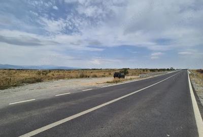 Vanzare teren intravilan - 1070 mp - strada Ciocarlau - spre Preajba - 2