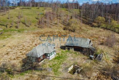 Teren  CABANA/CASA, 10450 mp cu utilitati, Valea Fericirii, zona Rasca/Belis - 4