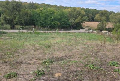 Spațiu comercial, în Hârsa - 1