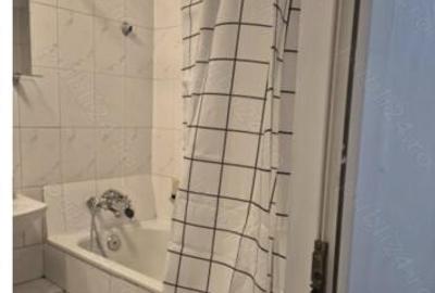 Decebal muncii parter - 4