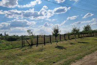 Spațiu comercial, în Seceani - 3