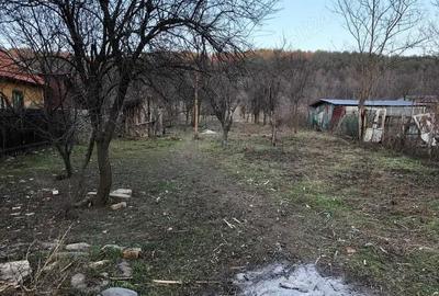 Teren în Balotești - 3