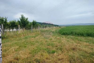 Teren de 18200 mp, în Reghin - 1