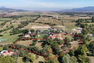 BLACK FRIDAY EXCLUSIV: Reducere de 10% la TERENUL VISURILOR TALE ! - 1