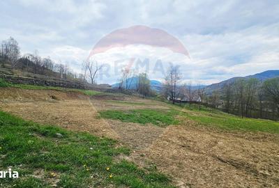 Teren de 2910 mp, în Hangu - 8