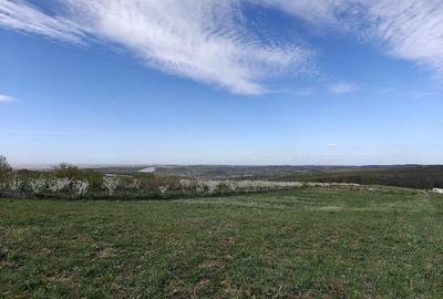Teren de 3000 mp, în Săldăbagiu de Munte - 3