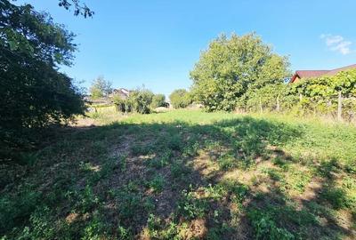 Teren intravilan 1.585 mp, cu utilități la hotar –Gherghița–Ungureni - 3