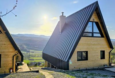 Casă cu 4 camere cu Teren 1700 Mp în Meziad - 3